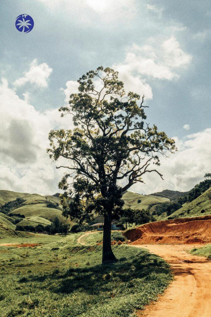 Imagem mostra casinha aconchegante em Viana, ES.