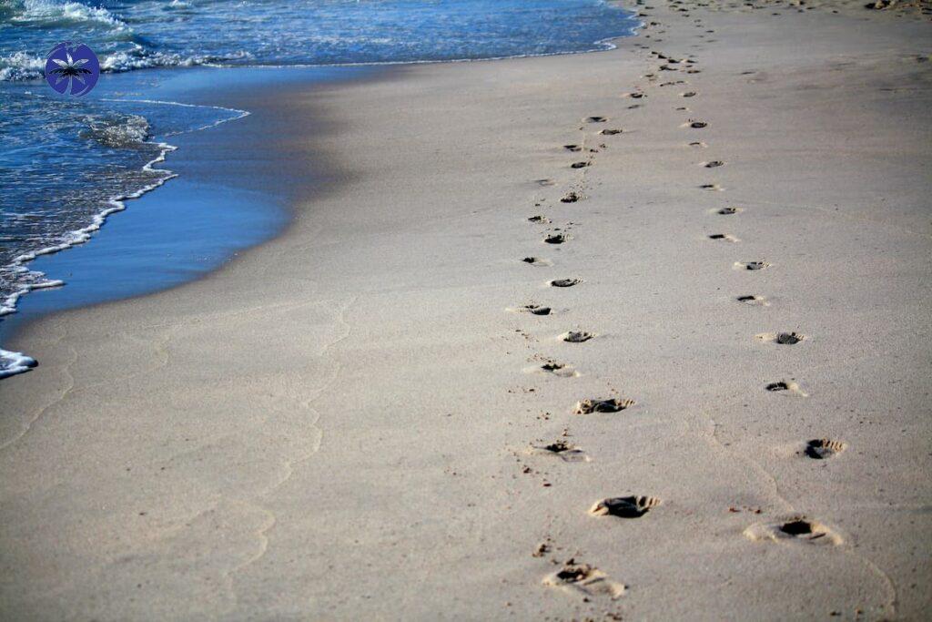 Imagem mostra pegadas deixadas na areia na Praia de Santa Mônica em Guarapari.